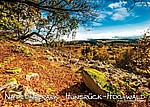 Postkarte Herbstimpression Nationalpark Hunsrück-Hochwald, Tourist Information Birkenfelder Land, Herbst im Nationalpark