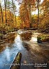 Postkarte Bachlauf im Herbst, Nationalpark Hunsrück-Hochwald, Tourist Information Birkenfelder Land, Herbst im Nationalpark Hunsrück-Hochwald