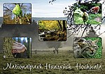 Postkarte, Schmetterling, Wildkatze, Pilz, Raupe, Nationalpark Hunsrück-Hochwald